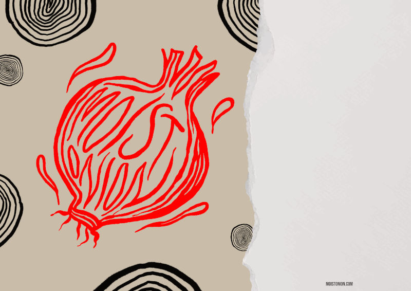 Horisontal Moist Onion album poster